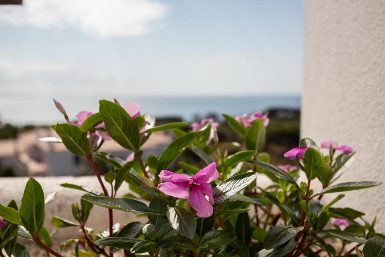 Edificio Coral Al By * Albufeira